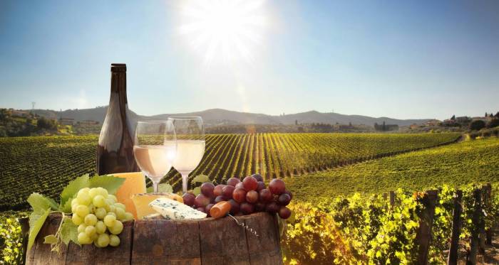 Wine tasting tours in South America