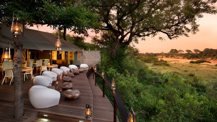 Safari tented camp ngala africa south lodge african private kruger park national luxury beyond lodges game reserve andbeyond safaris hotel
