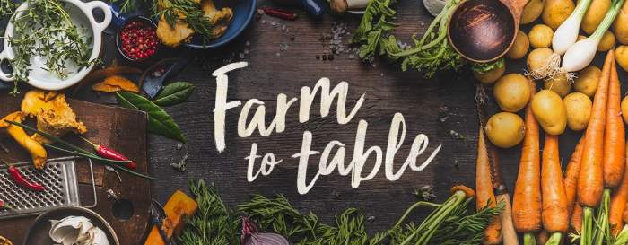 Farm-to-table culinary tours