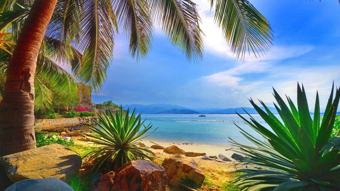 Paradise tropical wallpaper wallpapers backgrounds wallpaperaccess Paradise tropical wallpaper wallpapers backgrounds wallpaperaccess